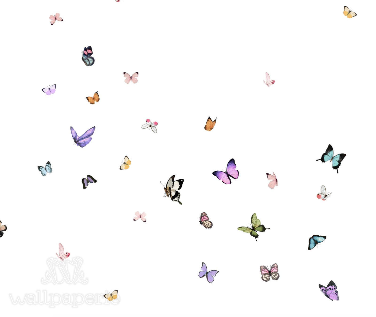 Butterfly Kaleidoscope White