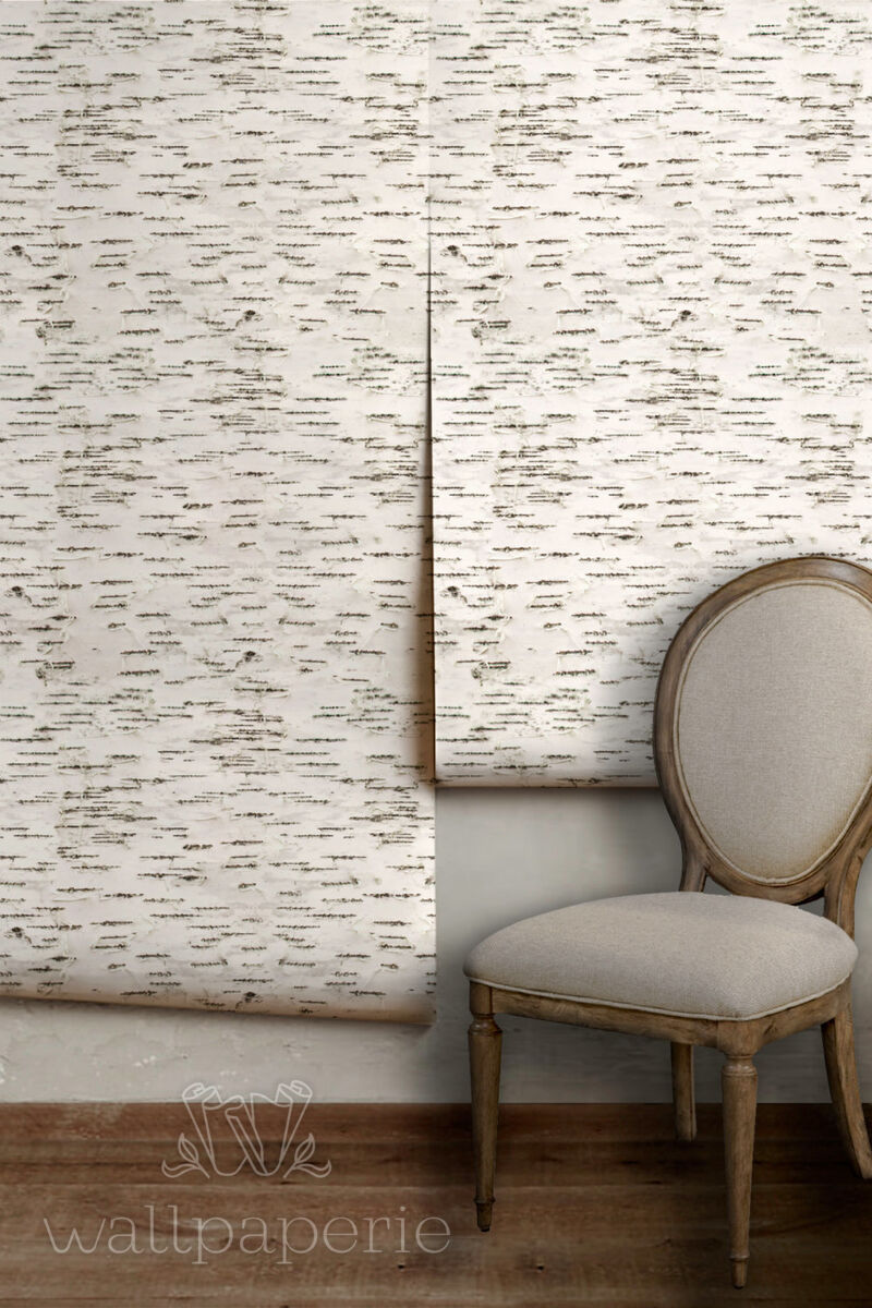 Birch Bark
