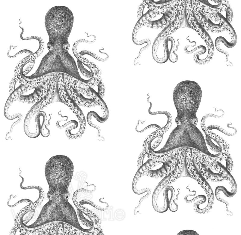 Octopus  |  Charcoal