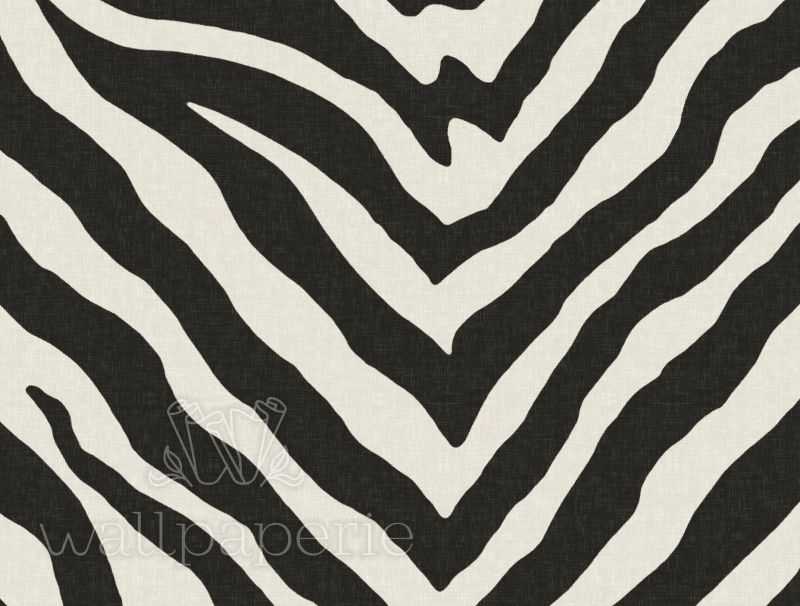Zebra | Black