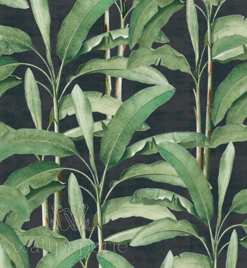 Tropical Leaves | Ebony
