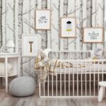 Birch Forest